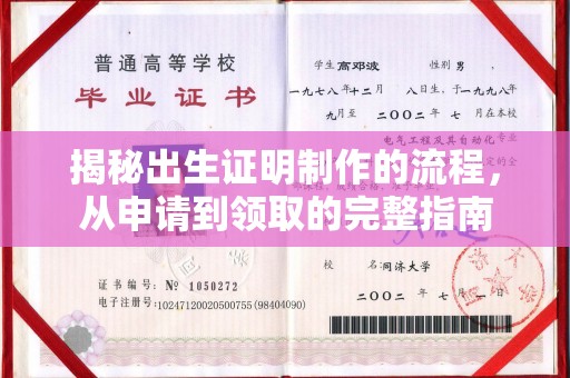 海港揭秘出生证明制作的流程，从申请到领取的完整指南